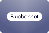 Bluebonnet background
